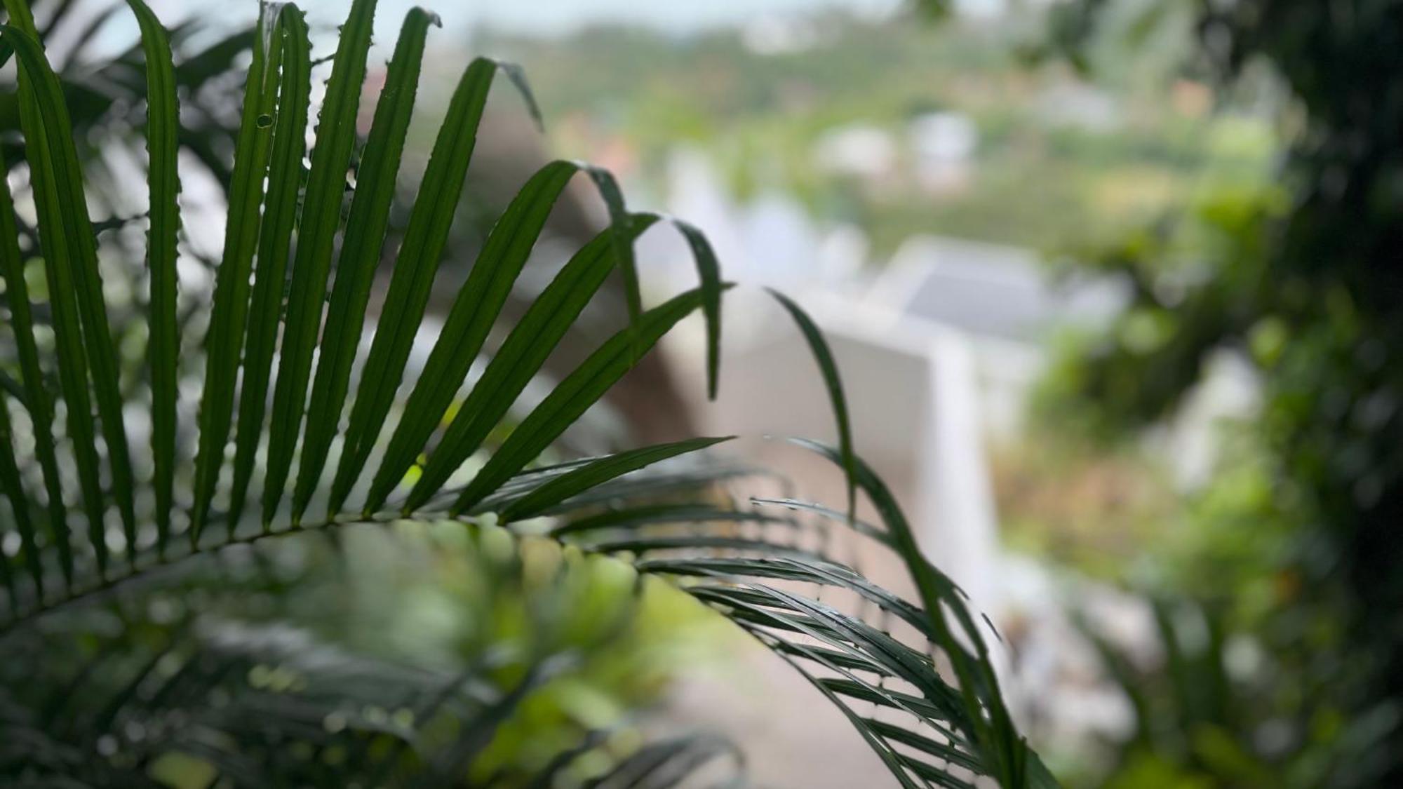 Anzhu Seamate Villa Samui Amphoe Koksamui Εξωτερικό φωτογραφία
